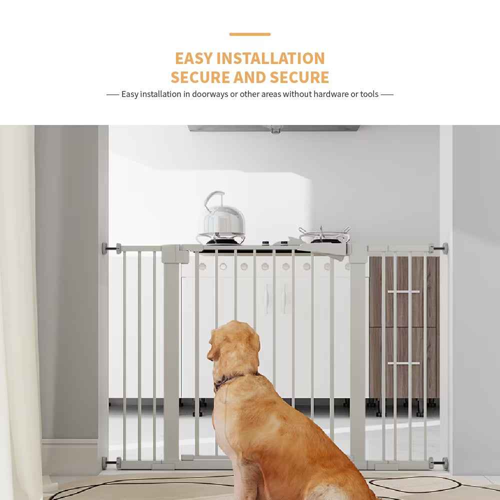 Declan's Safety Gate — Image 2 | TG Clothing Co. LLC