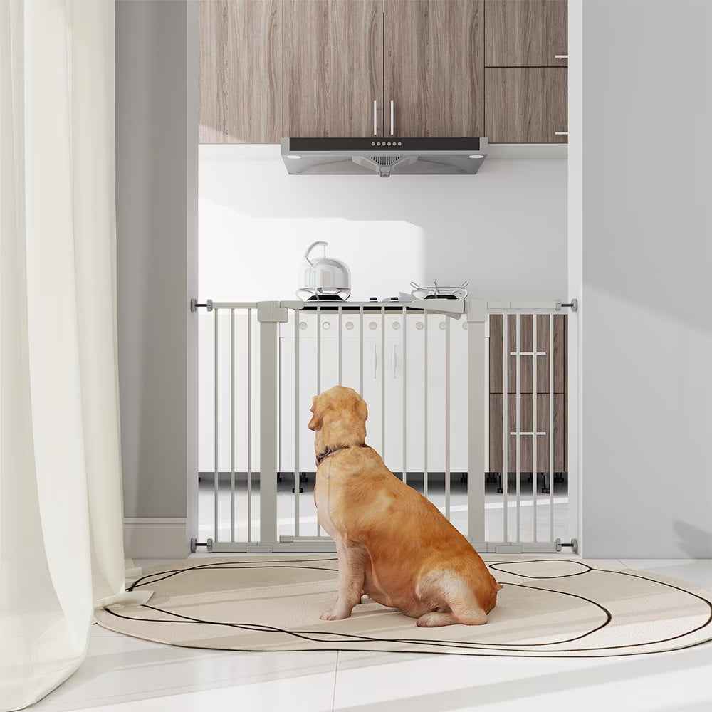 Declan's Safety Gate — Image 6 | TG Clothing Co. LLC
